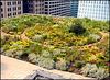 Chicago_citygarden203