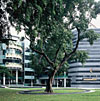 Singapore Management University