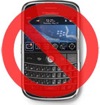 Blackberry Bold